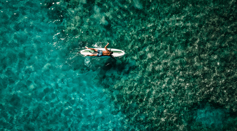 NOSARA Independent Surf